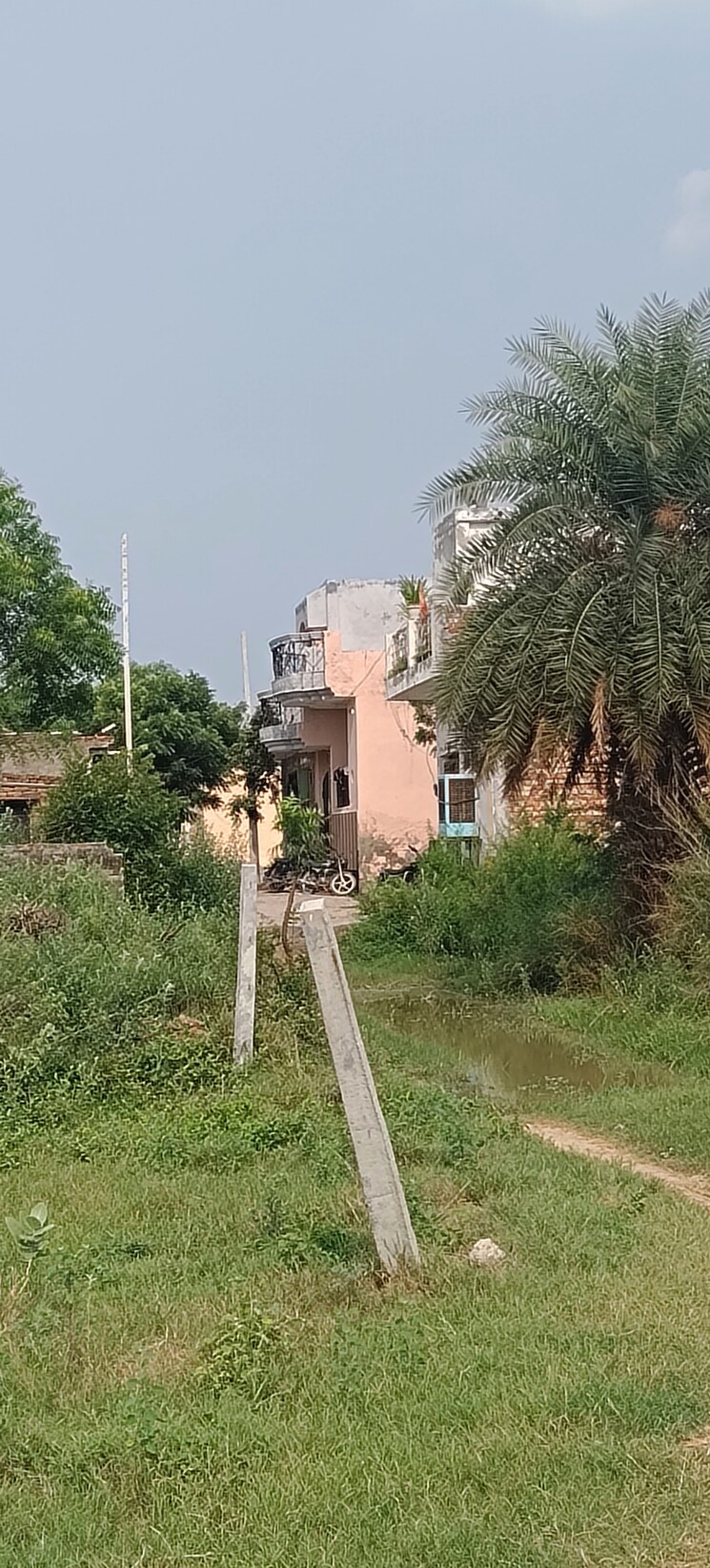 Garden, cullak pur  100 Sq.Yd. Plot In Cullak Pur Delhi 8930436