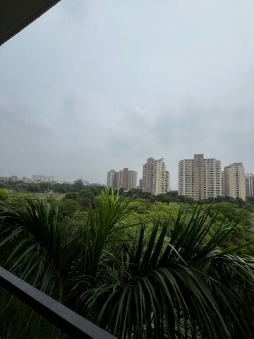3 BHK Builder Floor For Rent in Unitech South City 1, South City 1