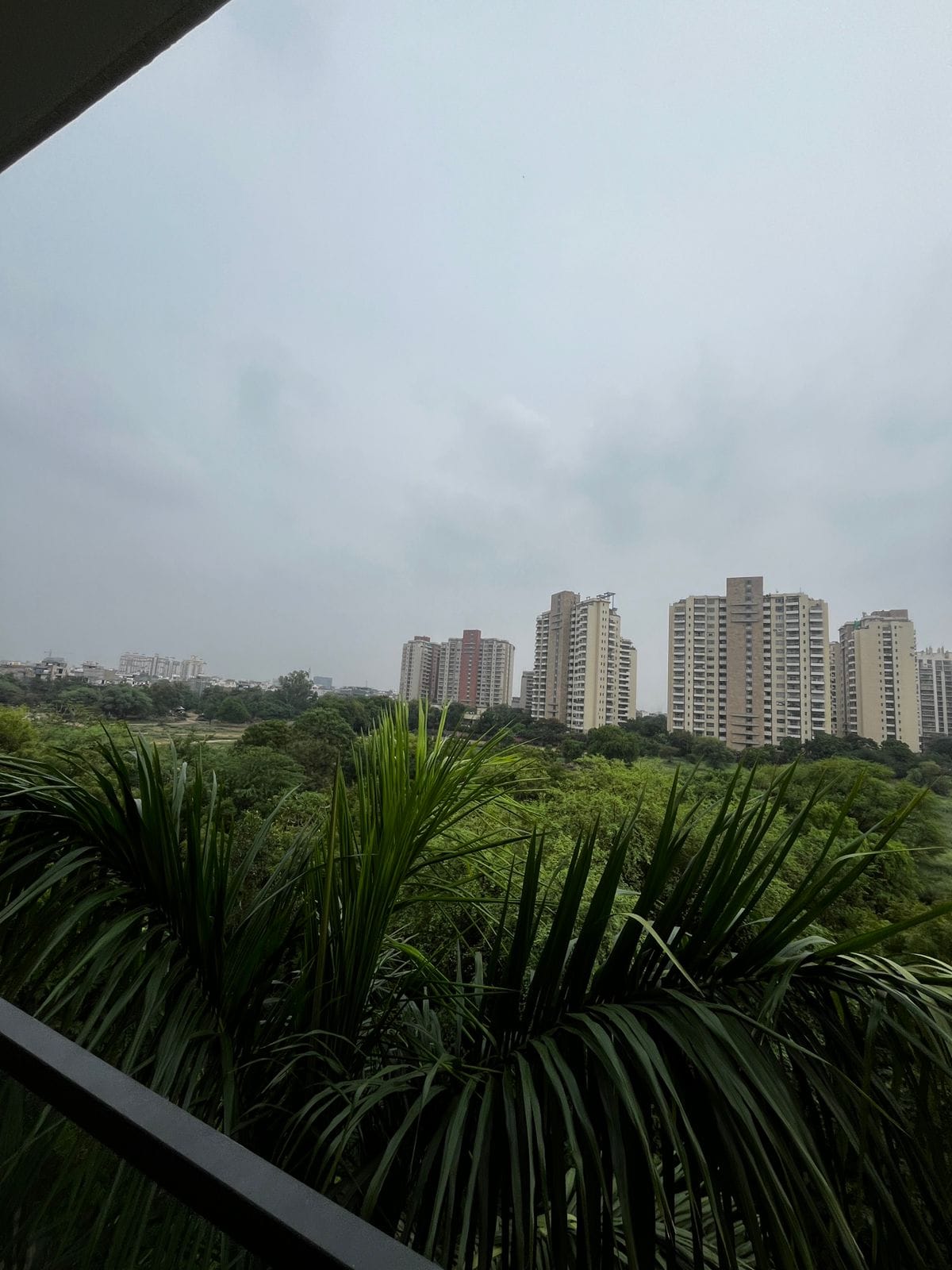 3 BHK Builder Floor For Rent in Unitech South City 1