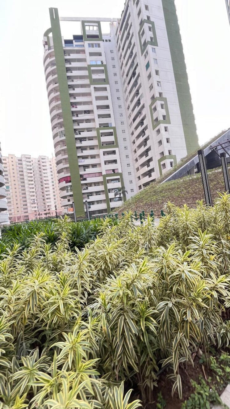 Exterior View, parx-laureate 4 Bedroom 4545 Sq.Ft. Apartment In Sector 108 Noida 8930527