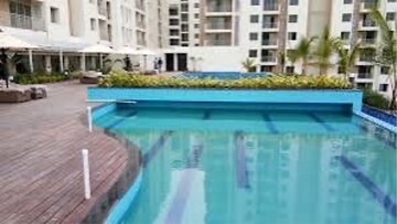 Swimming Pool in 3 BHK Apartment at Emami City, Golpark – for Rent