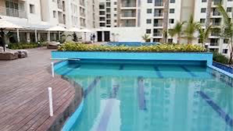 Swimming Pool, emami-city 3 Bedroom 1700 Sq.Ft. Apartment In Golpark Kolkata 8930526