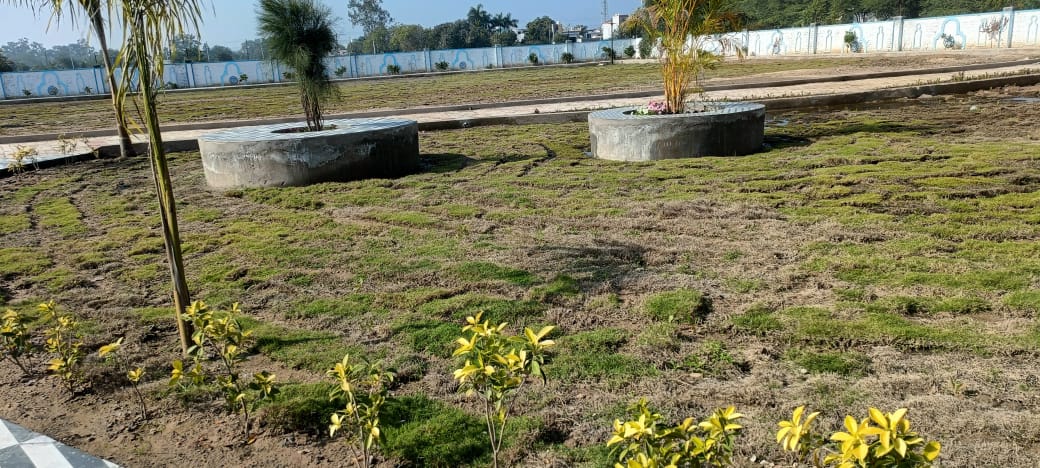 Plot For Sale in Meduse 