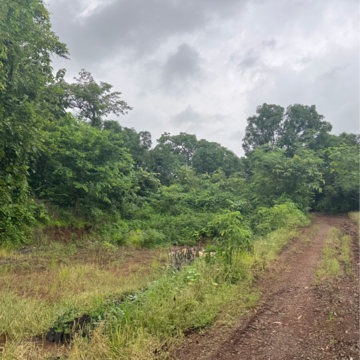 Plot Area in  Land at Murbad Road – for Sale