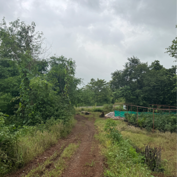 Plot Area in  Land at Murbad Road – for Sale