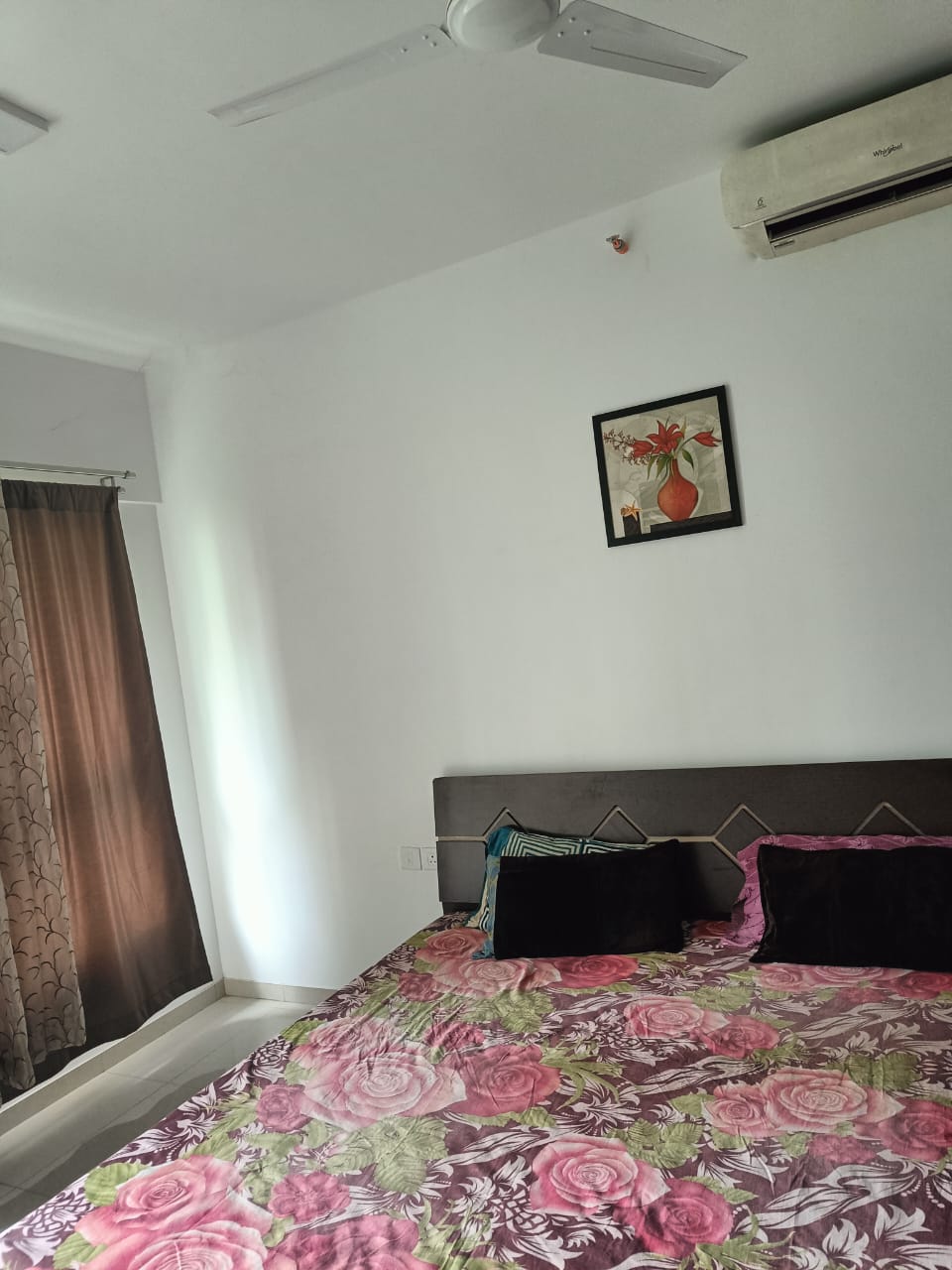 2 BHK + Study Room 750 Sq.Ft. Apartment in Kalpataru Immensa