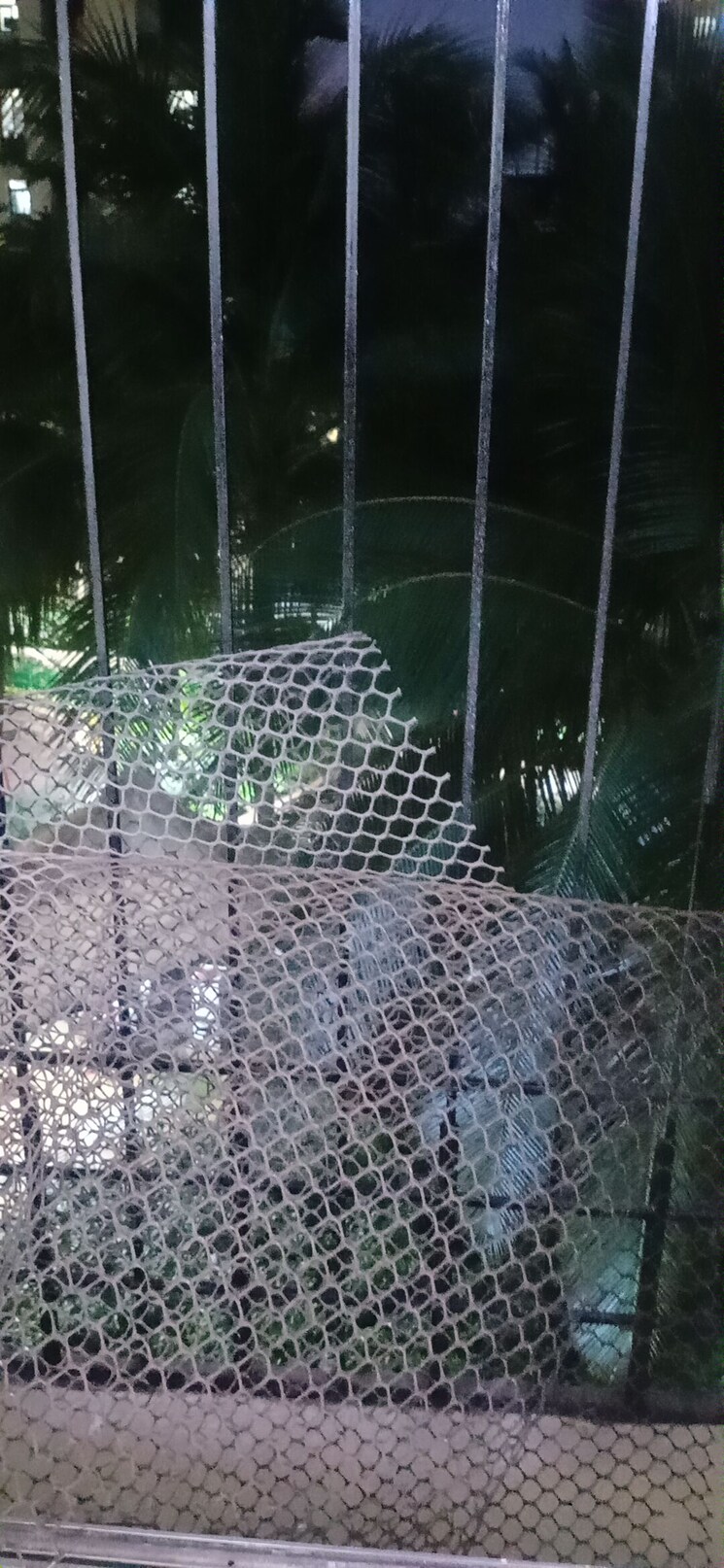 Balcony, dosti-vihar 1 Bedroom 597 Sq.Ft. Apartment In Samata Nagar Thane 8930831