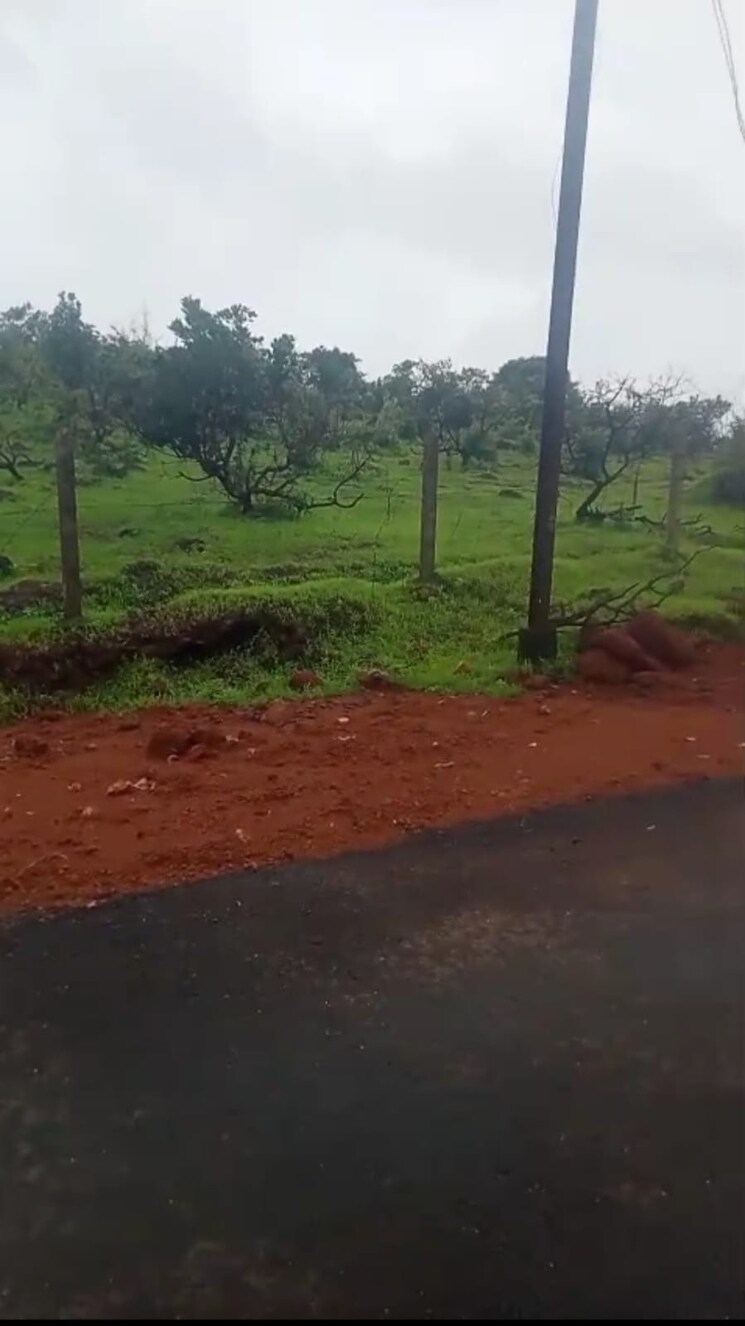 undefined, mandangad  4 Acre Plot In Mandangad Ratnagiri 8930841