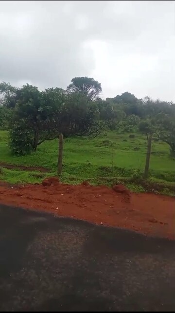 Plot Area in  Plot at Mandangad – for Sale