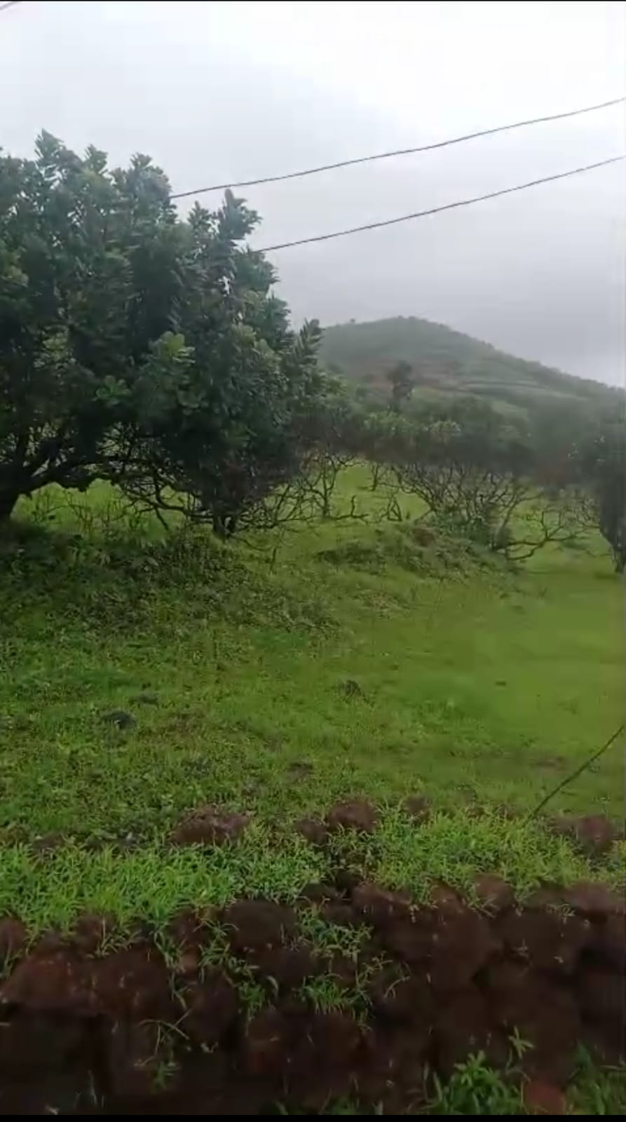 Plot For Sale in Table Land 4 Acre Mandang