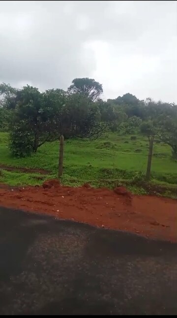 Plot Area in  Plot at Mandangad – for Sale