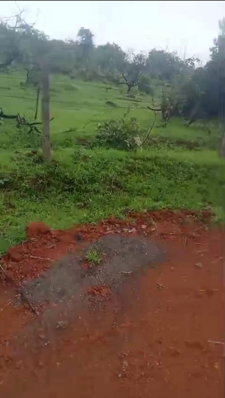 Garden, mandangad  120 Acre Plot In Mandangad Ratnagiri 8930928