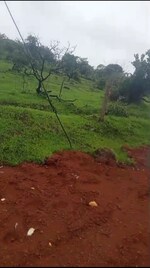 120 Acre Plot in Table Land For Sale In ma