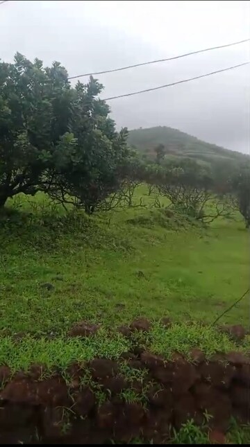 Plot Area in  Plot at Mandangad – for Sale