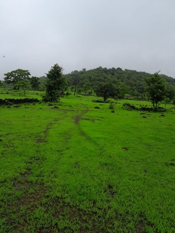 Plot Area in  Plot at Mandangad – for Sale