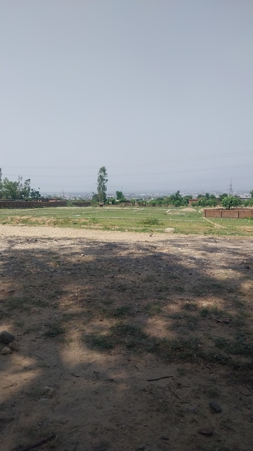 Plot Area in  Plot at Sherpur – for Sale
