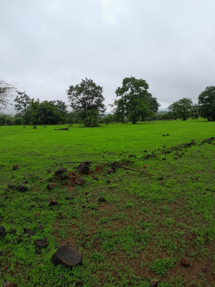 undefined, mandangad  10 Acre Plot In Mandangad Ratnagiri 8930948