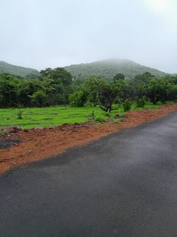  Plot For Sale in Mandangad