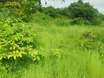 Plot Area in  Plot at Dapoli – for Sale