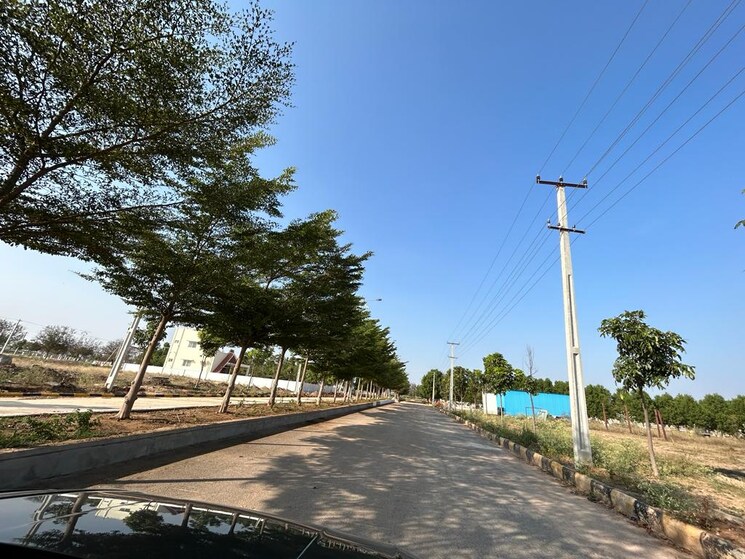 Garden, sr-rock-town  274 Sq.Yd. Plot In Mazidpur Hyderabad 8931055