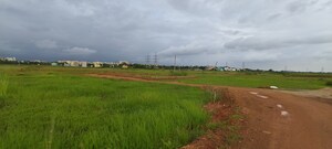 Plot Area in  Plot at Patrapada – for Sale