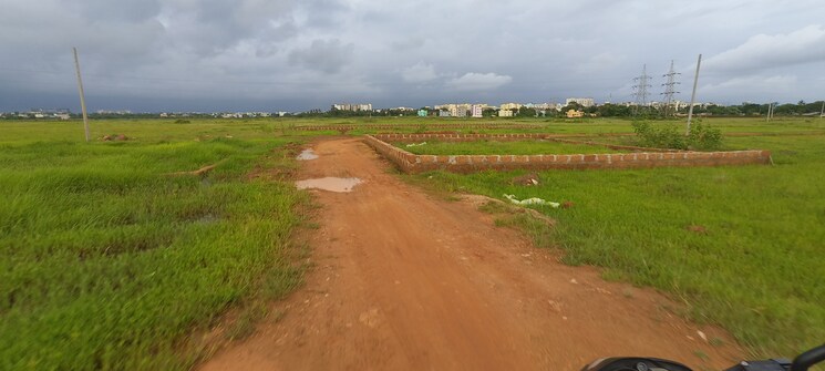 undefined, patrapada  1560 Sq.Ft. Plot In Patrapada Bhubaneswar 8931117