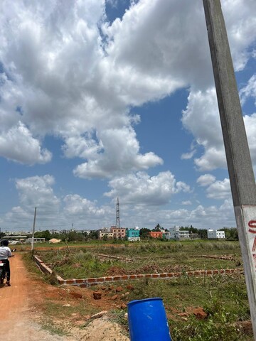 Plot Area in  Plot at Patrapada – for Sale
