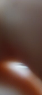 315 Sq.Ft. Office Space in Begumpet