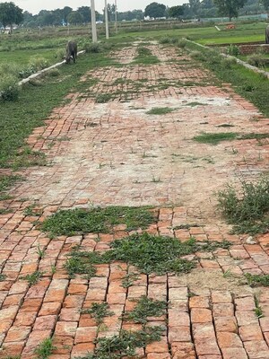 Plot Area in  Plot at Chinhat – for Sale