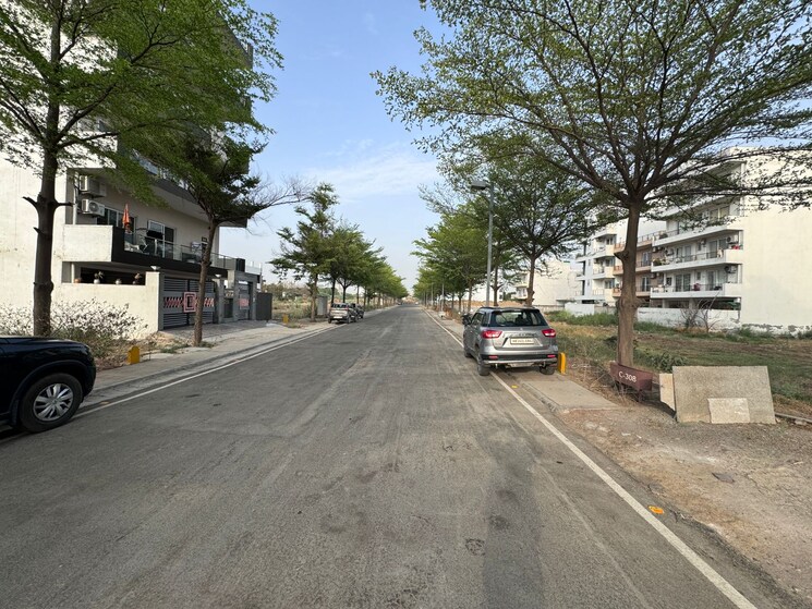  Parking, bptp-amstoria 3 Bedroom 250 Sq.Yd. Apartment In Sector 102 Gurgaon 8931746