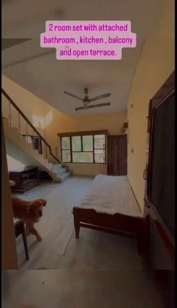 1.5 BHK Builder Floor – Exterior View View at Sector 66 B - for Rent