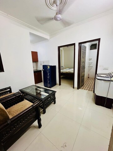Living Room in 1 BHK Apartment at Palm Residency Chhatarpur, Chattarpur – for Rent