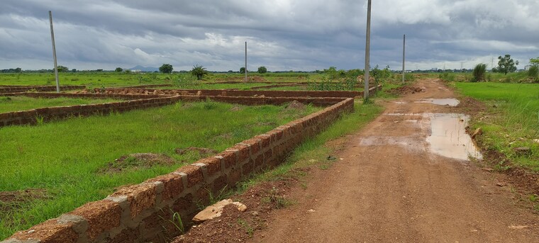 undefined, patrapada  1561 Sq.Yd. Plot In Patrapada Bhubaneswar 8932225