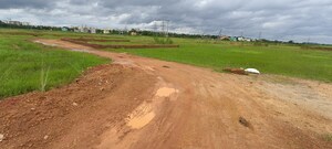 Plot Area in  Plot at Patrapada – for Sale