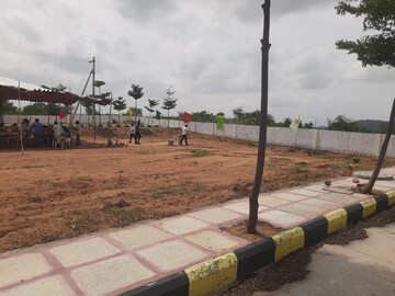 Plot Area in  Plot at Nemarugomula – for Sale