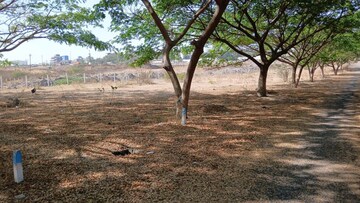 Plot Area in  Plot at Daund – for Sale