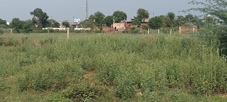 undefined, bharat colony  120 Sq.Yd. Plot In Bharat Colony Faridabad 8932799