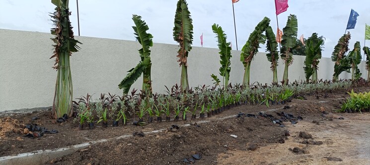 undefined, serenity-mamidi-serenity-homes  163 Sq.Yd. Plot In Turkayamjal Hyderabad 8932822