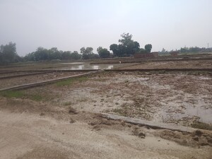 Plot Area in  Plot at Ashok Nagar – for Sale