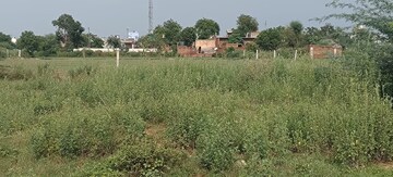 Plot Area in  Plot at Basantpur – for Sale