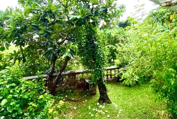 3 BHK Villa – Garden View at Arpora - for Rent