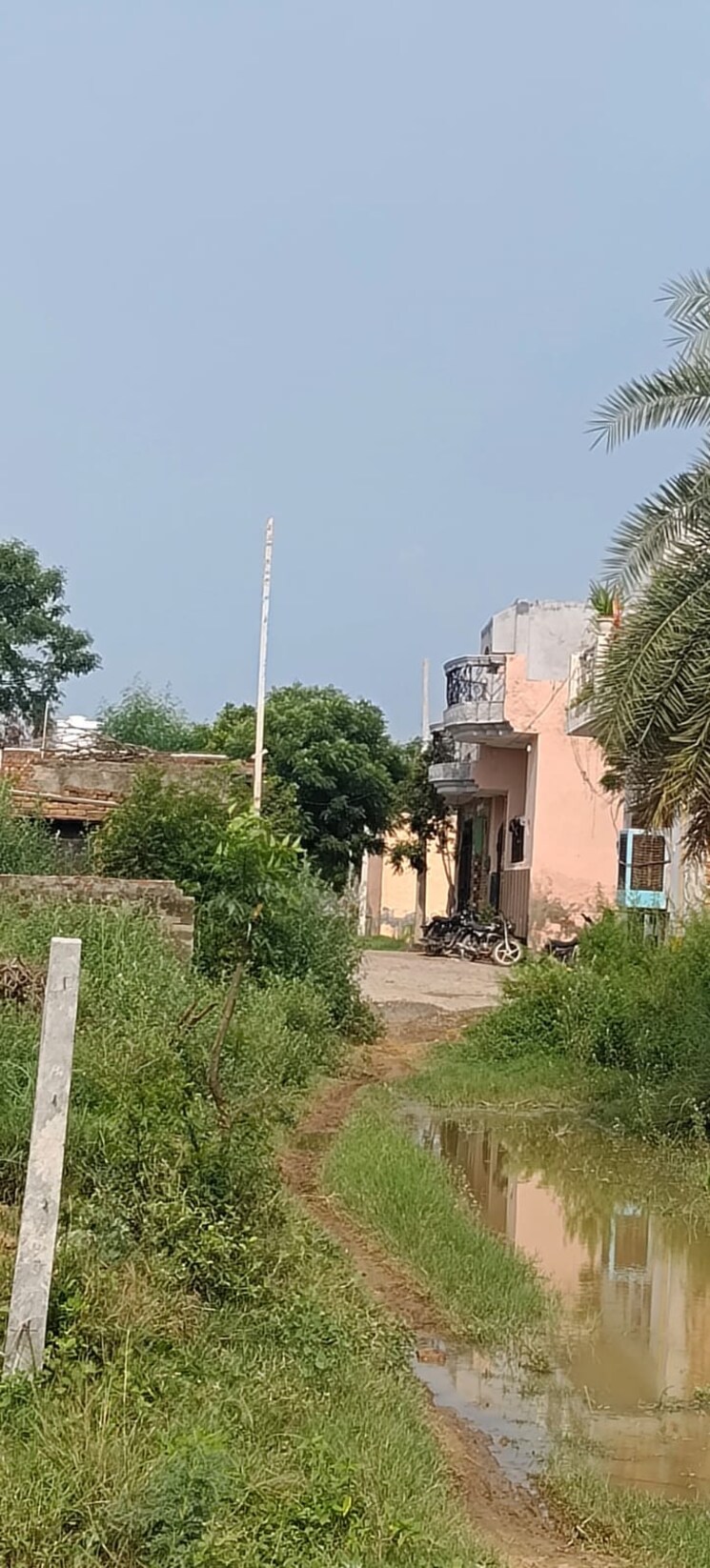 Garden, bhuapur  100 Sq.Yd. Plot In Bhuapur Faridabad 8932921