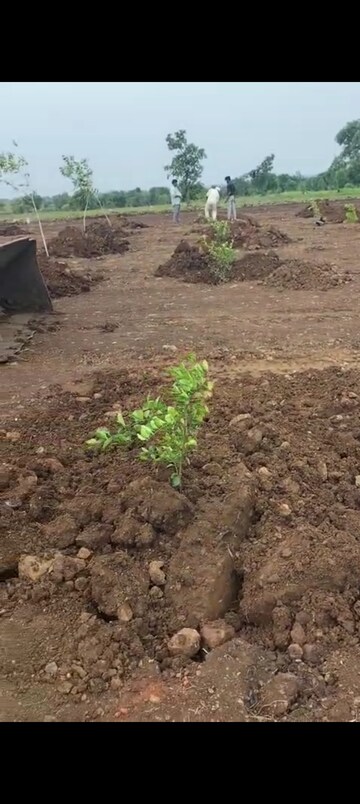 Plot Area in  Land at Sangareddy – for Sale
