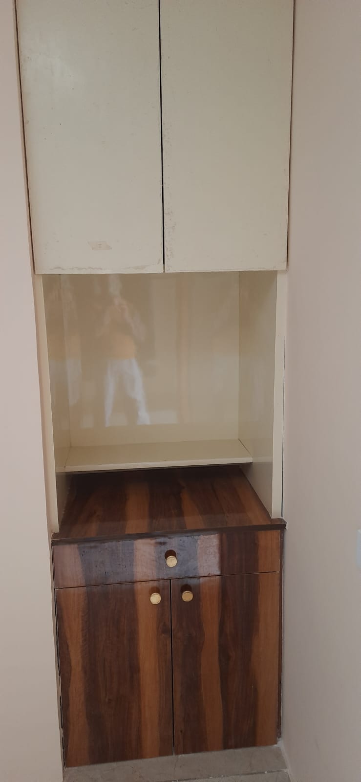 3 BHK + Pooja Room Builder Floor For Rent in Fidato Honour Homes