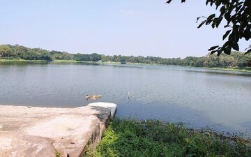 Swimming Pool in  Plot at Ulhas – for Sale