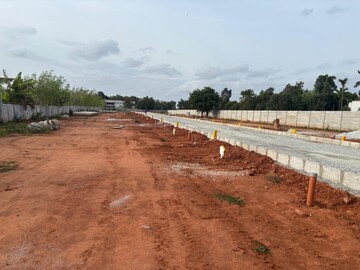 Plot Area in  Plot at Vidya Nagar – for Sale