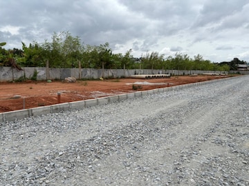  Plot For Sale in Vidya Nagar