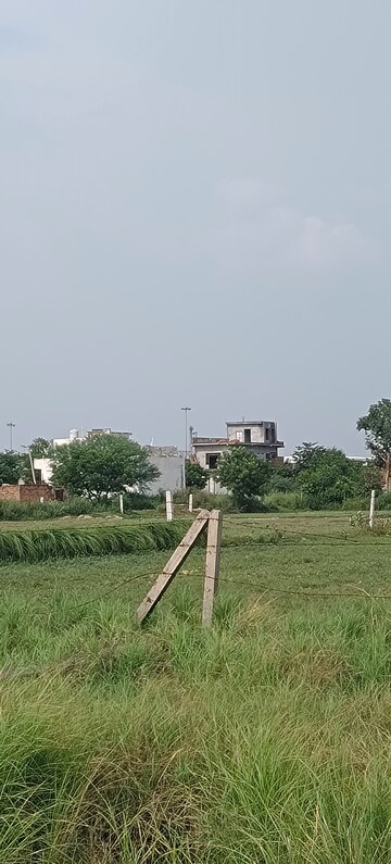 Plot Area in  Plot at Sikri – for Sale