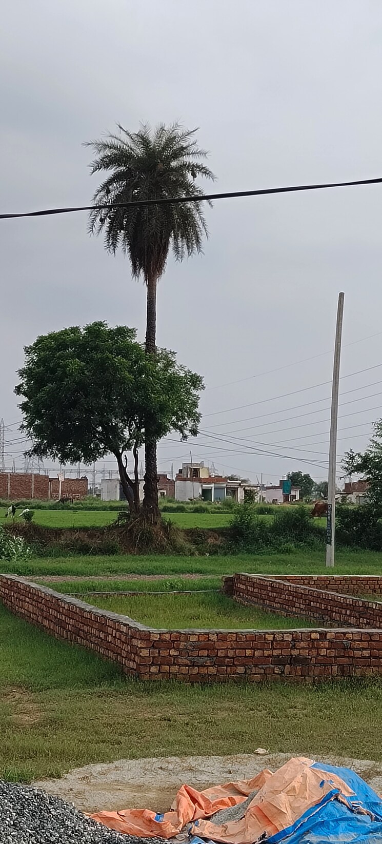 Exterior View, chhota anangpur  100 Sq.Yd. Plot In Chhota Anangpur Faridabad 8933336