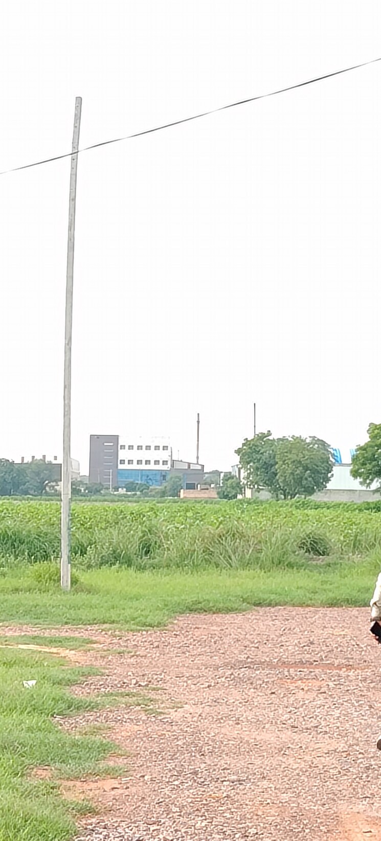 Garden, industrial area  100 Sq.Yd. Plot In Industrial Area Faridabad 8933354